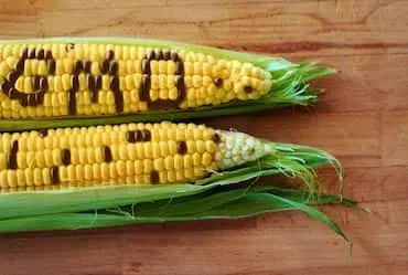 My Family Eat’s GMO’s, Fight Me