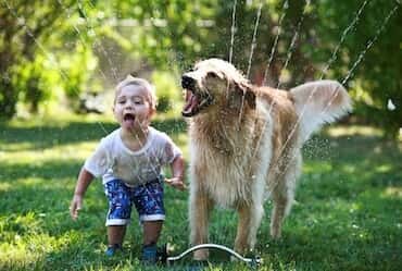 Why Raising Kids is a lot like Raising Puppies