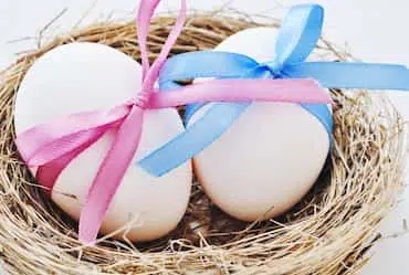 Donor Eggs – An Overview