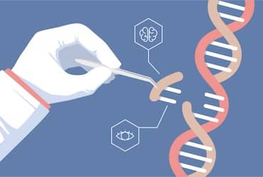 Chinese Scientist Claims World’s First Gene-Edited Babies