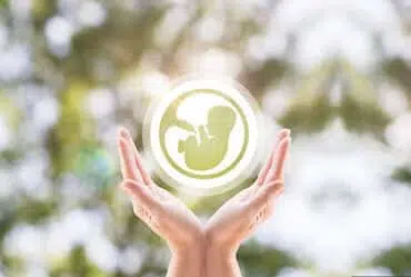 What is IUI or Artificial Insemination?