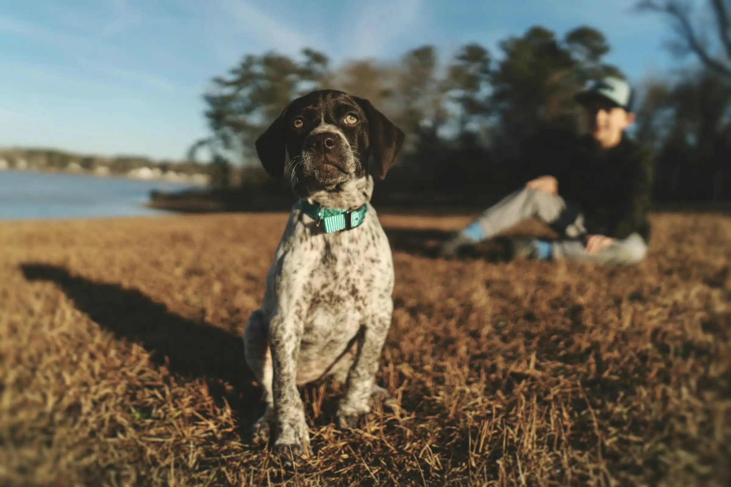 What Are the Best Pets for Kids?